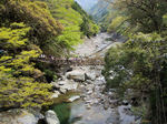 かずら橋.jpg